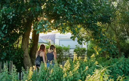 Hvidbjerg Strand Camping Resort Sti