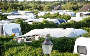 Hvidbjerg Strand Camping Resort Camping Overblik